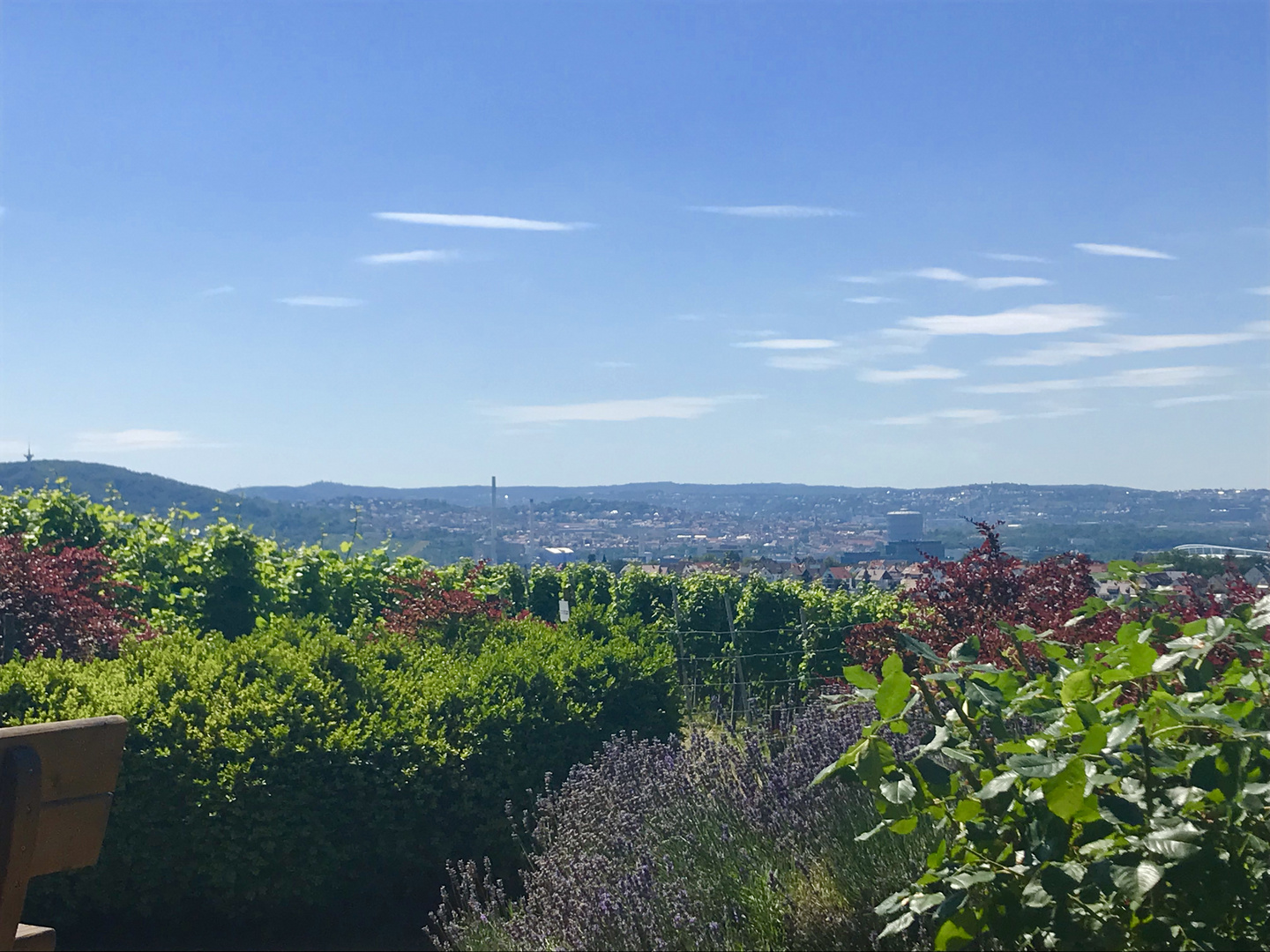 Landschaften rund um den Rotenberg