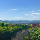 Landschaften rund um den Rotenberg