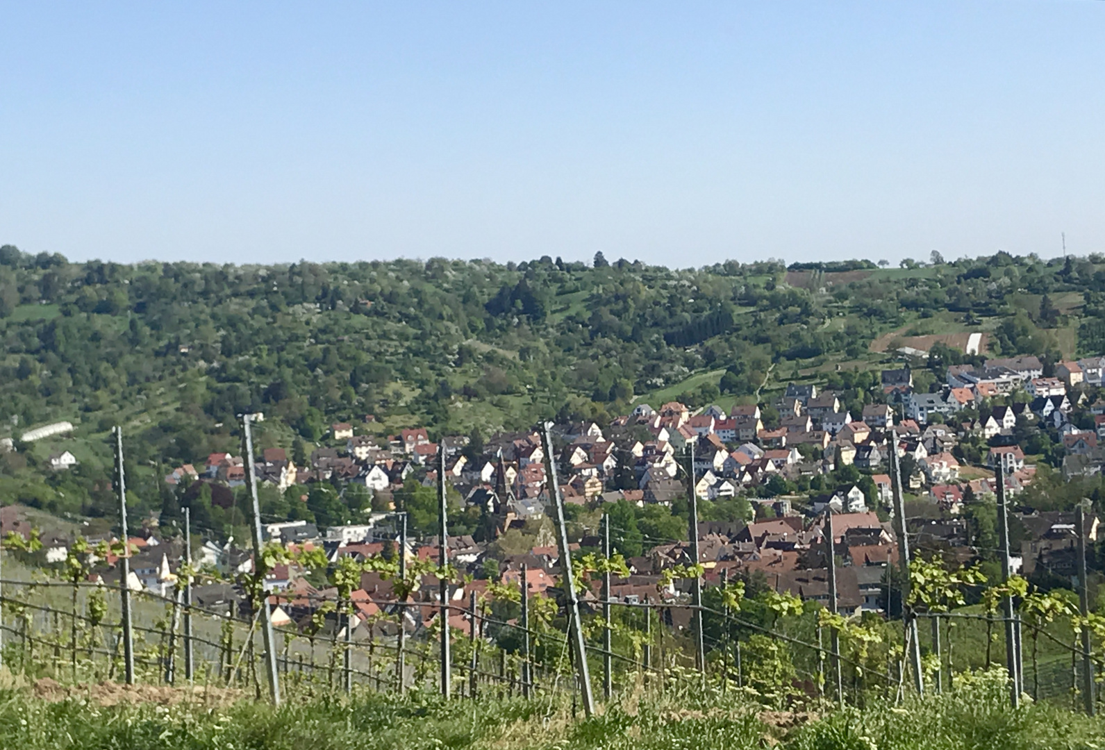 Landschaften rund um den Rotenberg 