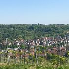 Landschaften rund um den Rotenberg 