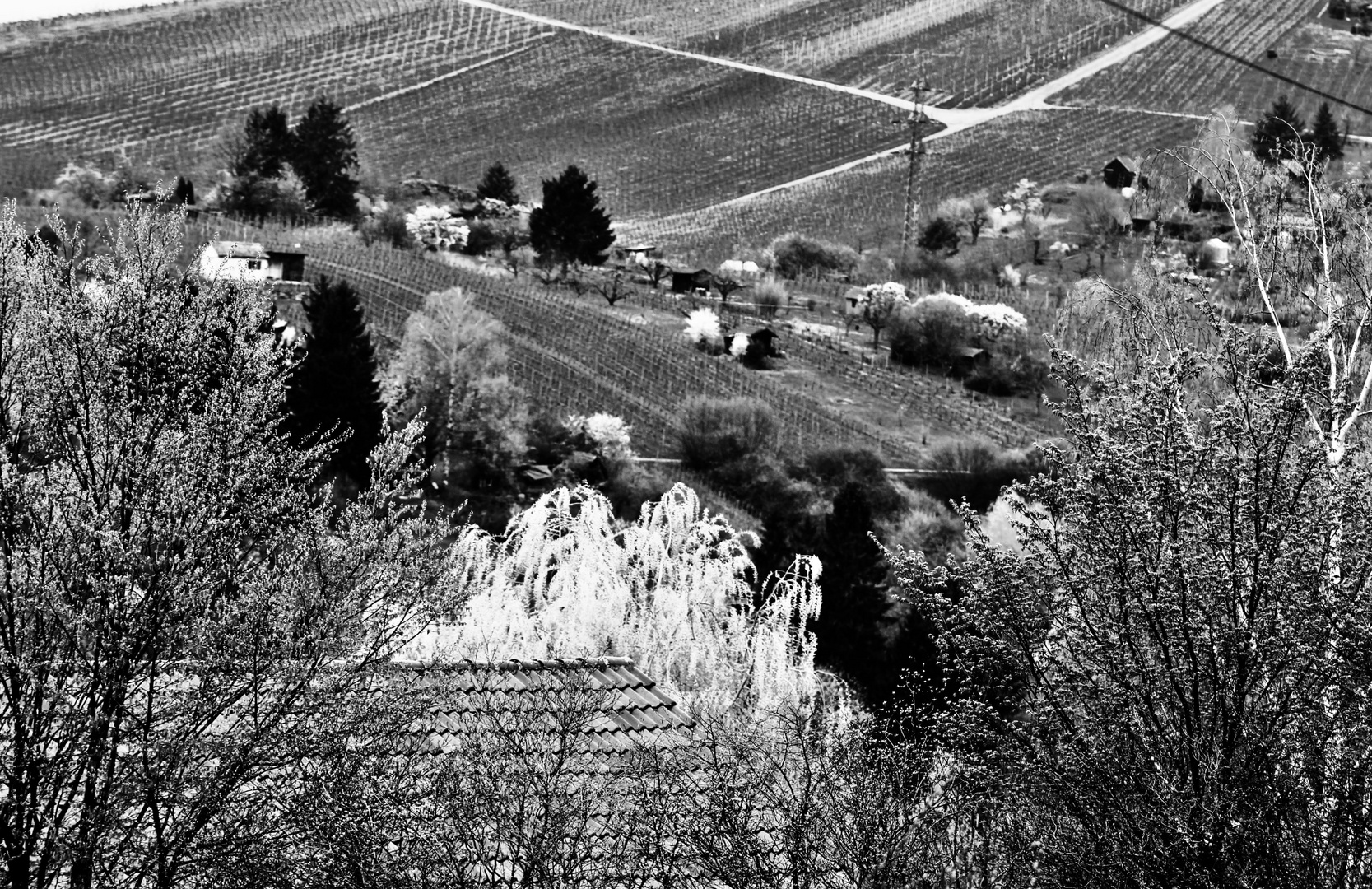 Landschaften rund um den Rotenberg