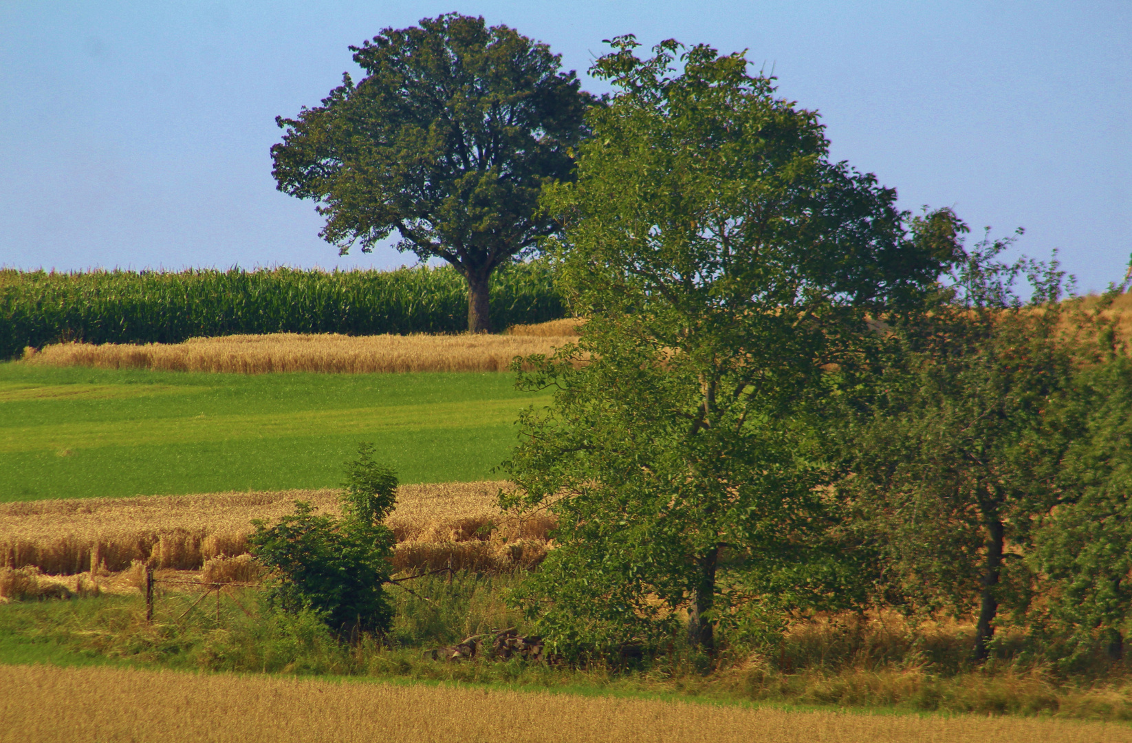 Landschaften rund um die schwäbische Alb