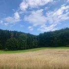 Landschaften rund um die schwäbische Alb 