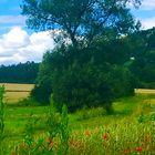 Landschaften rund um Tübingen 