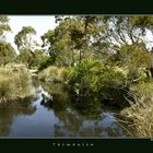 Landschaften Tasmaniens4