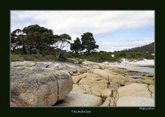 Landschaften Tasmaniens5