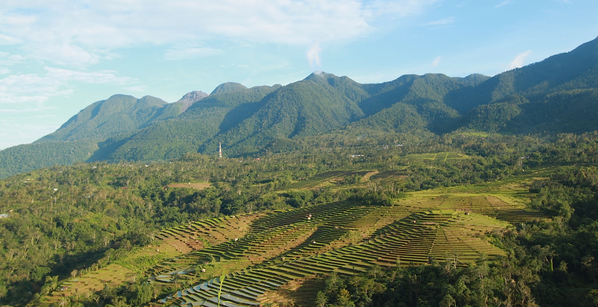 Landschaften und Reisterrasen In Ruteng Flores Indonesien