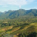 Landschaften und Reisterrasen In Ruteng Flores Indonesien