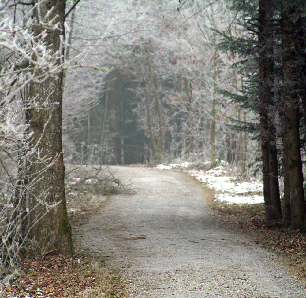 Landschaften und Wege 08