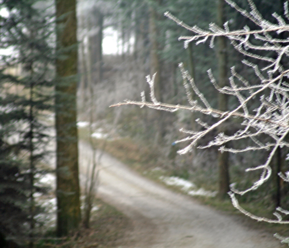 Landschaften und Wege 09