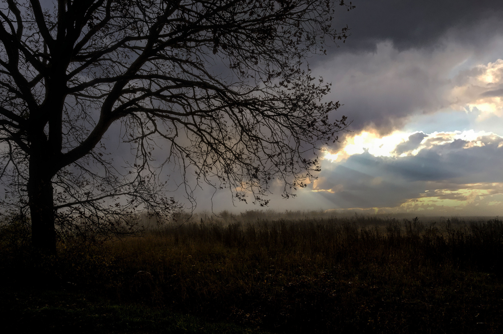 Landschaftliche Impressionen_01