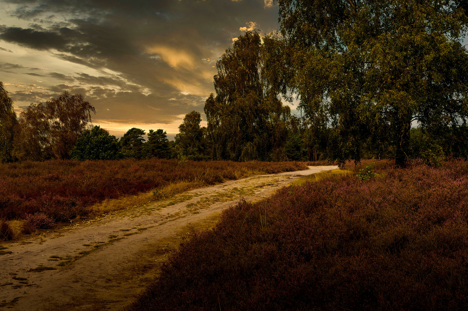 Landschaftliche Impressionen_02