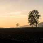 Landschaftliche Impressionen_11