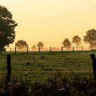 Landschaftliche Impressionen_12