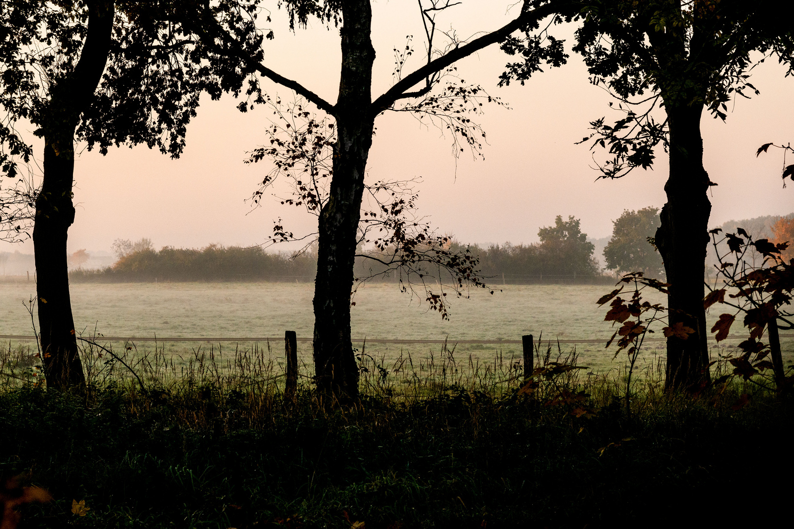 Landschaftliche Impressionen_13