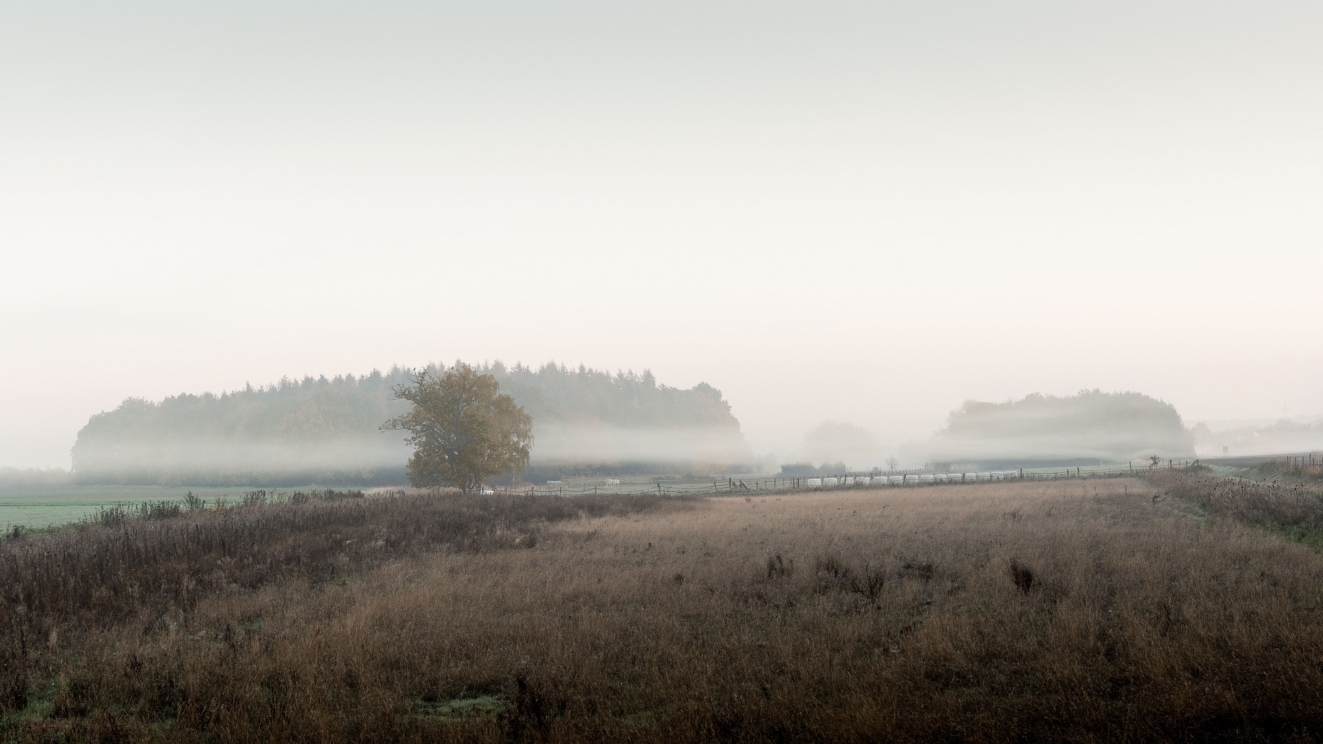 Landschaftliche Impressionen_14