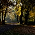 Landschaftliche Impressionen_19