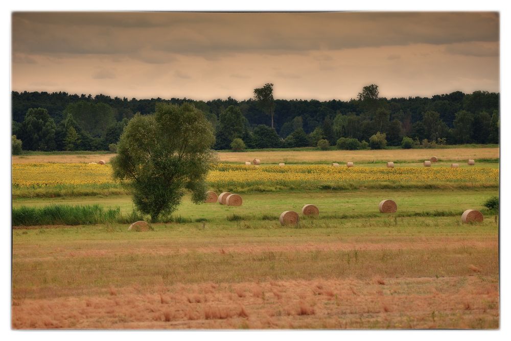 Landschaftliches