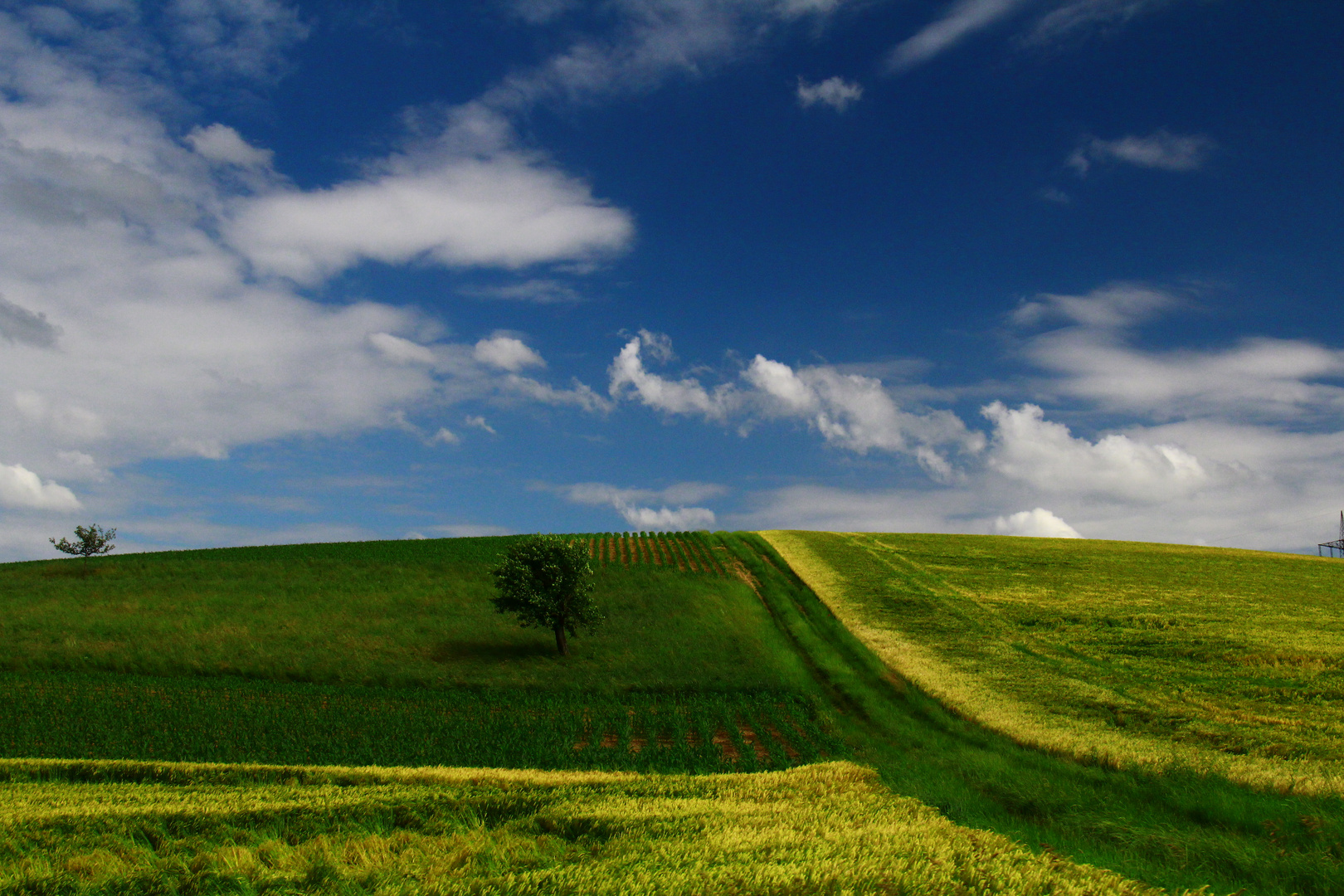 landschafts blick