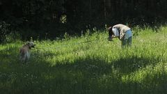 LANDSCHAFTS - FOTOGRAFIE :-)