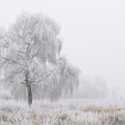 Landschafts-Fotokurs