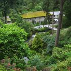 Landschafts-Garten par exellence - Bodnant Garden (Wales)