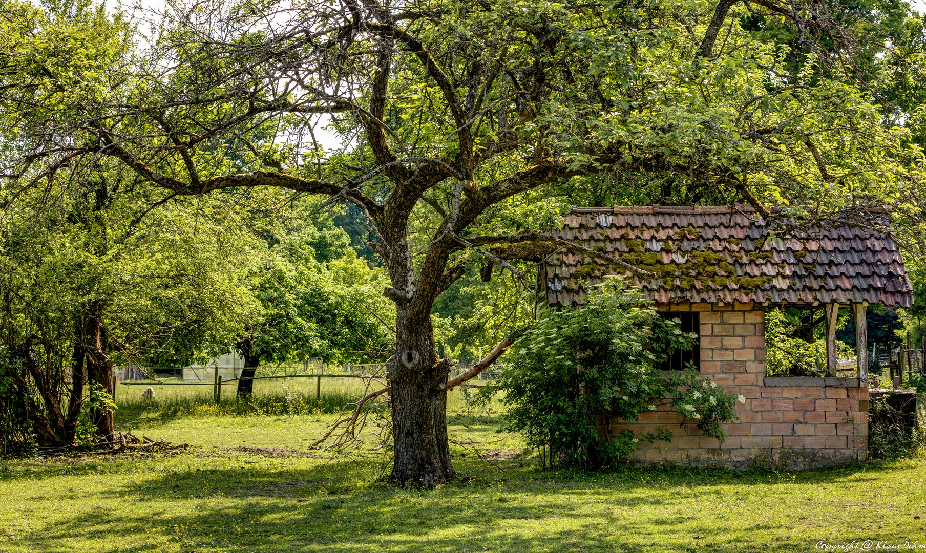 Landschafts Idylle