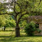 Landschafts Idylle