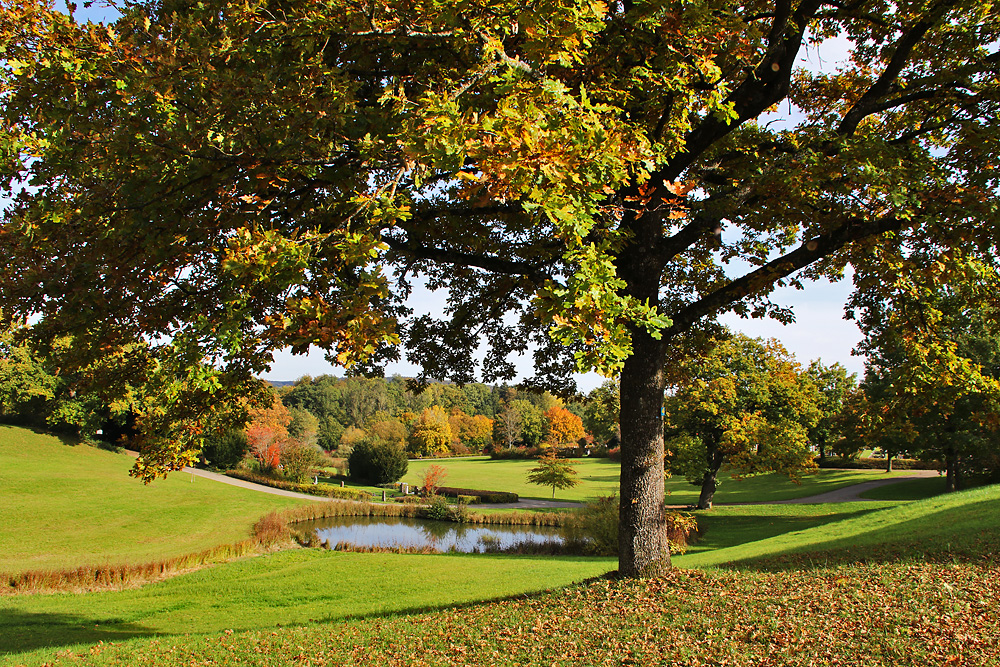 Landschafts-Idylle im Herbst