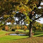 Landschafts-Idylle im Herbst