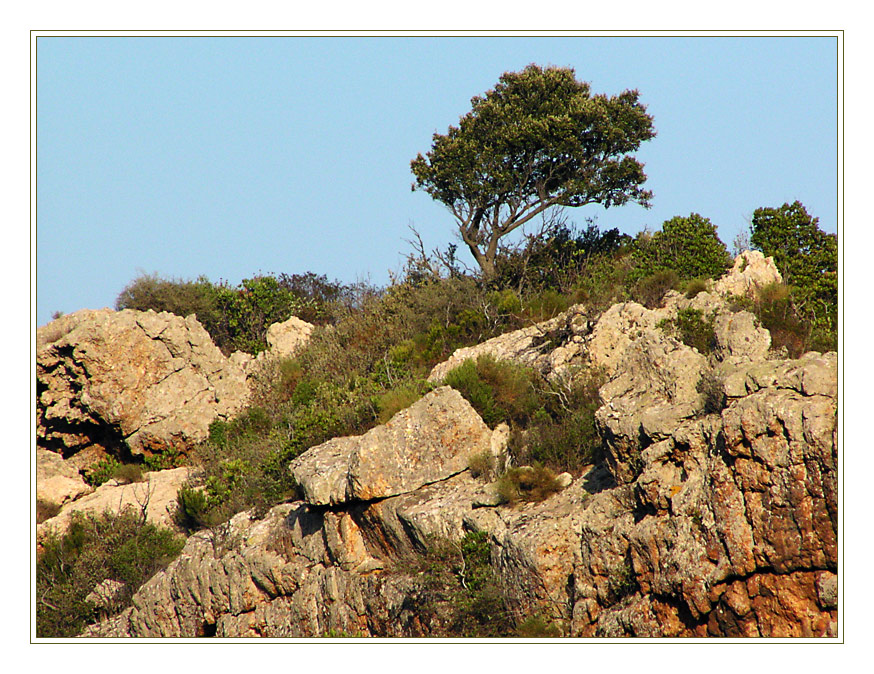 Landschafts-impression