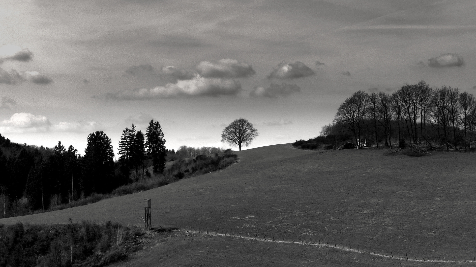 °°°° Landschafts-Impressionen °°°°