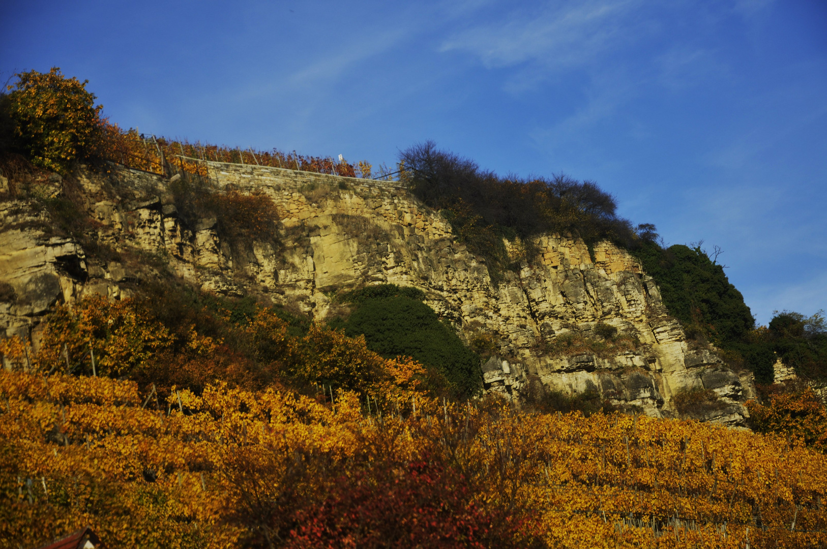 Landschafts Impressionen rund um Marbach 21