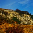 Landschafts Impressionen rund um Marbach 21