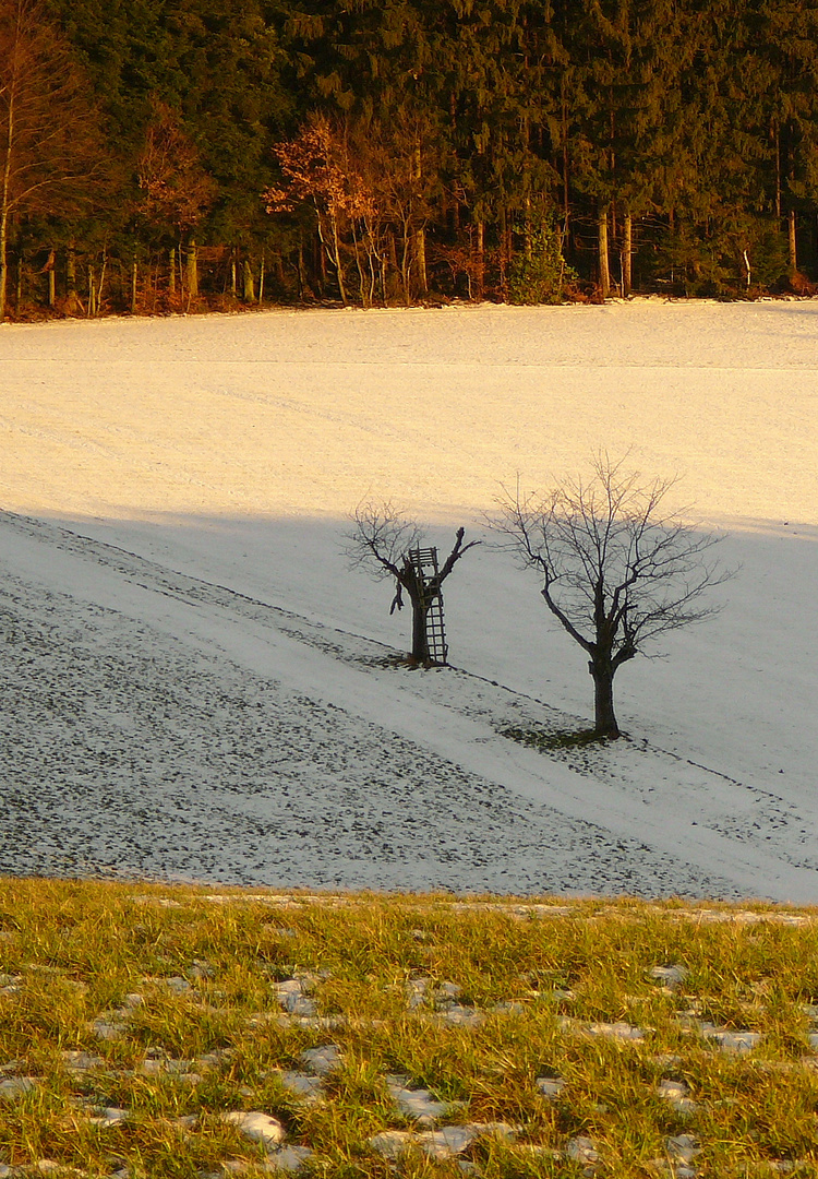 Landschafts-Sandwich