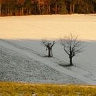 Landschafts-Sandwich