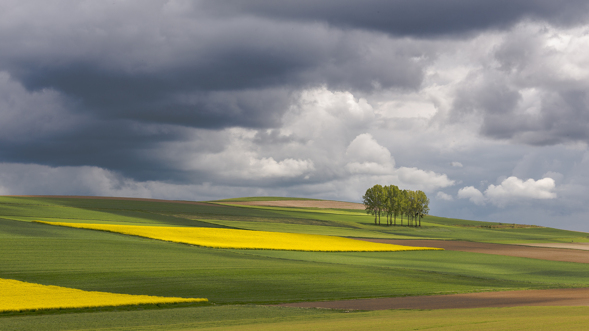 Landschafts-Schach