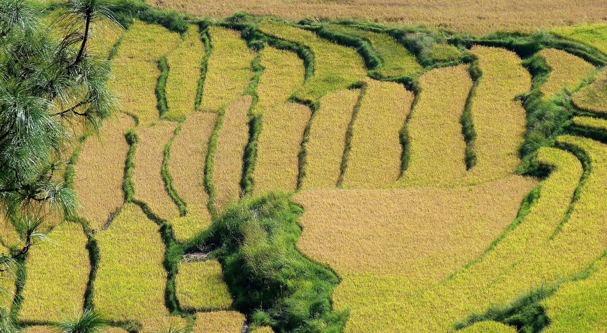 Landschaftsarchitektur