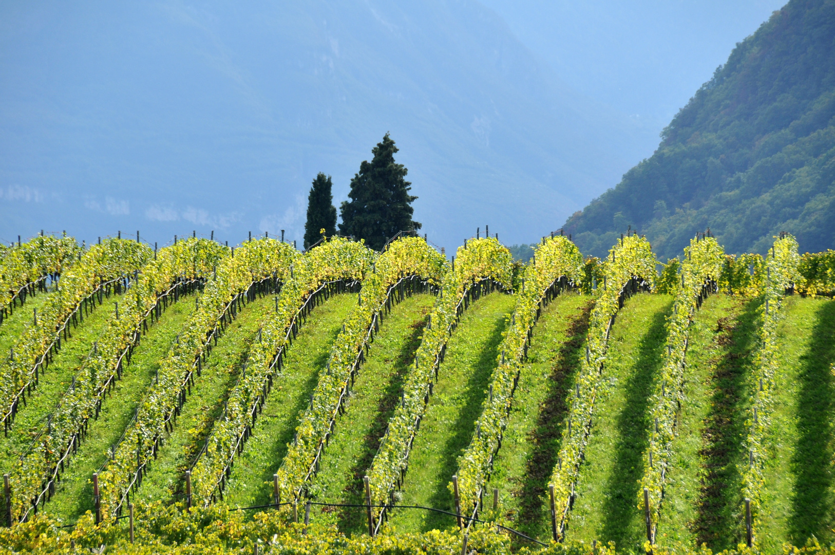 Landschaftsarchitektur in Südtirol