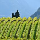 Landschaftsarchitektur in Südtirol