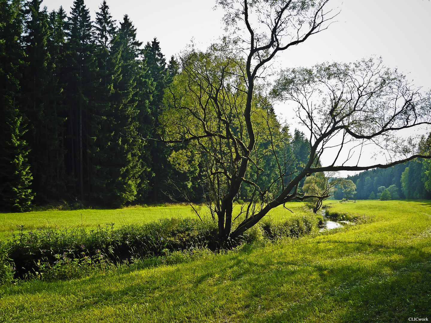 Landschaftsaufnahme