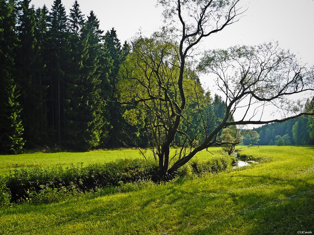 Landschaftsaufnahme