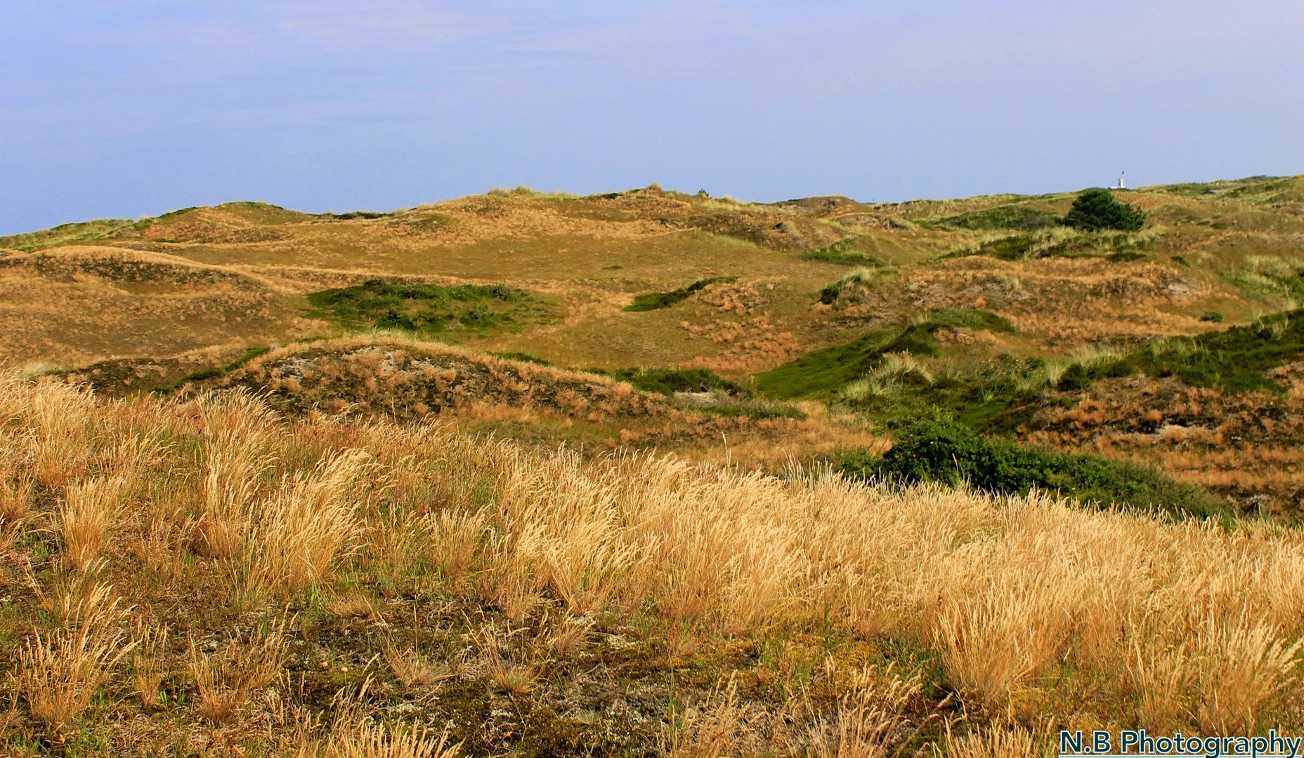 Landschaftsaufnahme auf der Insel Spiekeroog
