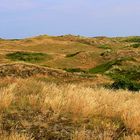 Landschaftsaufnahme auf der Insel Spiekeroog