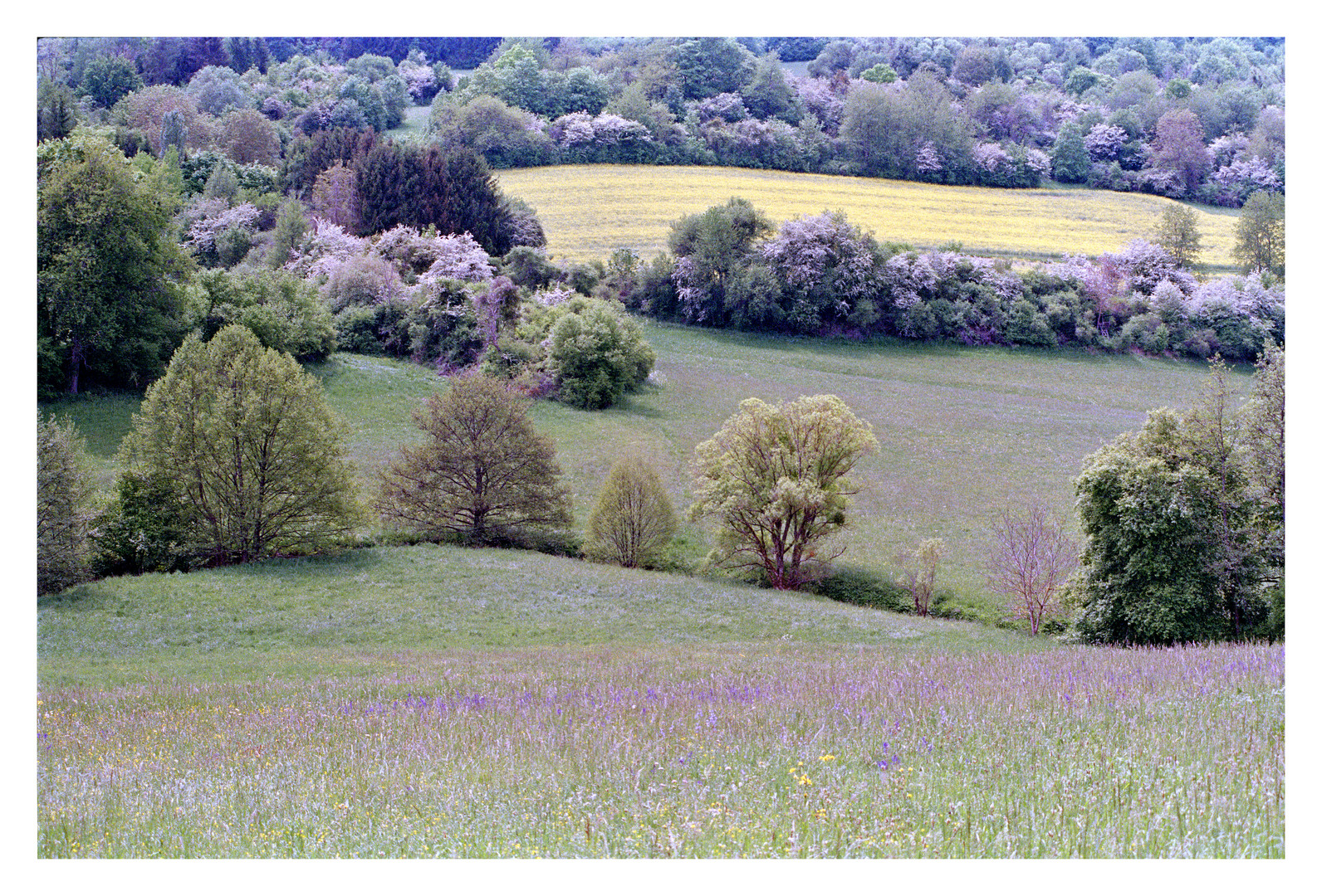 Landschaftsaufnahme bei Eschringen / Saar