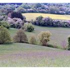 Landschaftsaufnahme bei Eschringen / Saar