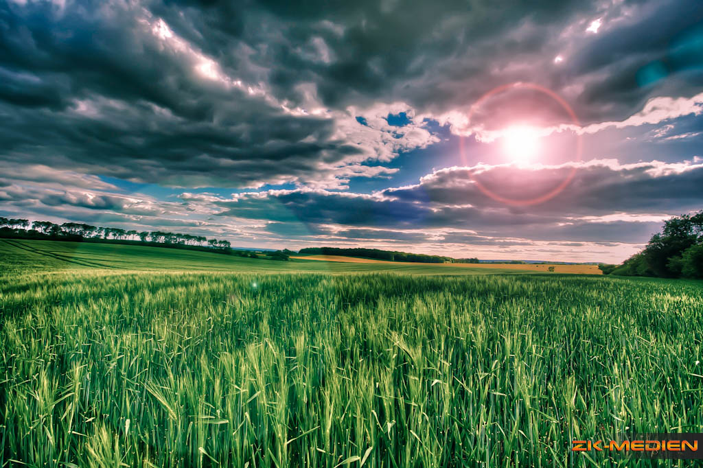 Landschaftsaufnahme im Mai