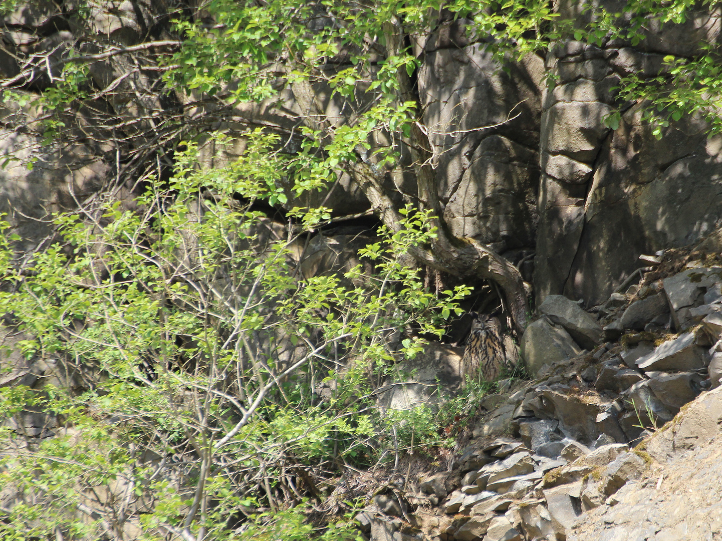 Landschaftsaufnahme mit Suchbild