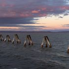 Landschaftsaufnahme von Neusiedlersee zur blauen Stunde.            