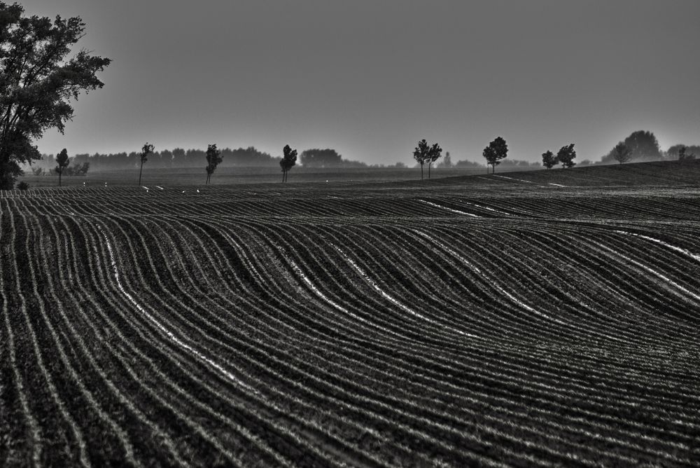 landschaftsbild